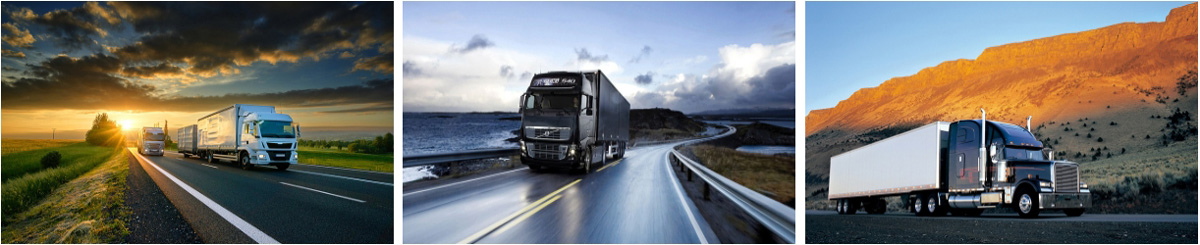 Heavy Duty Truck Brake Shoes 